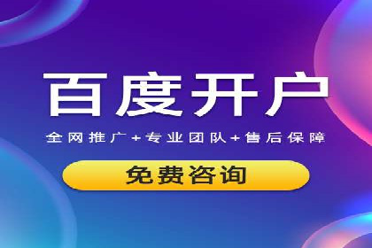 实战解析：SEM网络推广成功案例分享